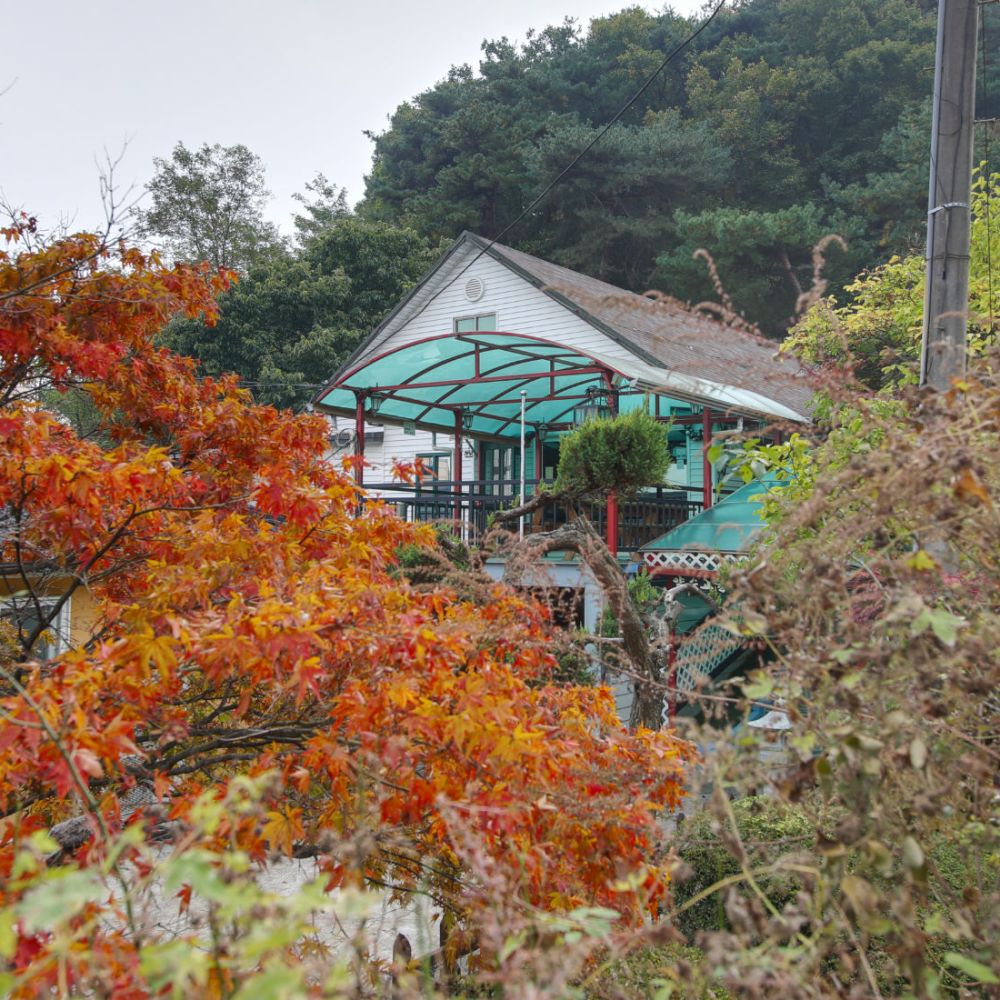 외부전경